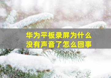 华为平板录屏为什么没有声音了怎么回事