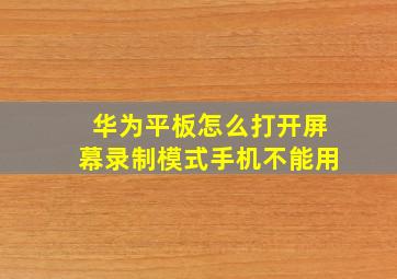 华为平板怎么打开屏幕录制模式手机不能用