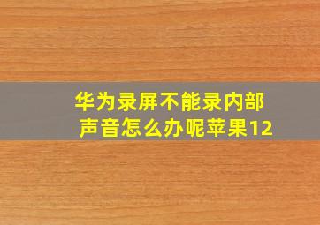 华为录屏不能录内部声音怎么办呢苹果12