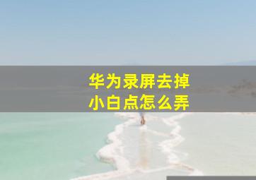 华为录屏去掉小白点怎么弄