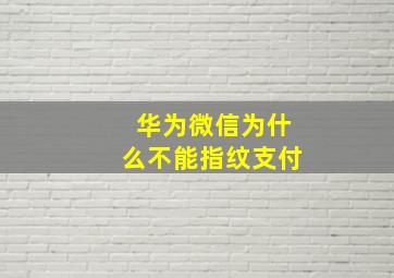 华为微信为什么不能指纹支付