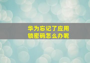 华为忘记了应用锁密码怎么办呢