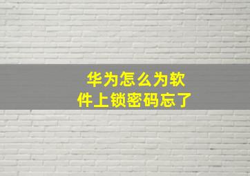 华为怎么为软件上锁密码忘了