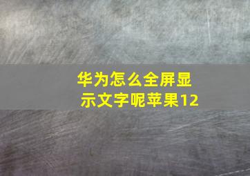 华为怎么全屏显示文字呢苹果12