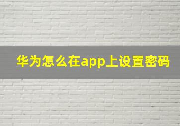 华为怎么在app上设置密码