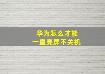 华为怎么才能一直亮屏不关机