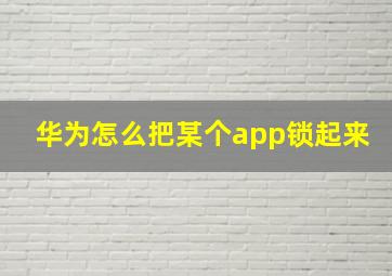 华为怎么把某个app锁起来