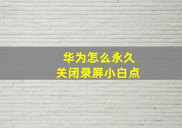 华为怎么永久关闭录屏小白点