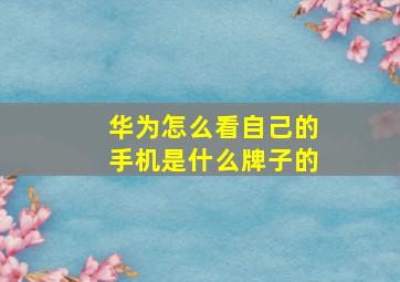 华为怎么看自己的手机是什么牌子的