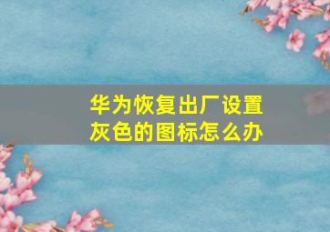 华为恢复出厂设置灰色的图标怎么办