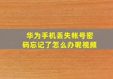 华为手机丢失帐号密码忘记了怎么办呢视频