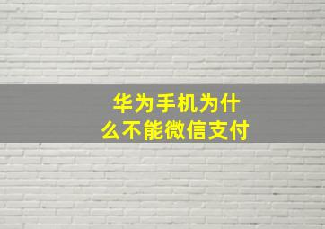 华为手机为什么不能微信支付