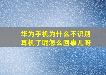 华为手机为什么不识别耳机了呢怎么回事儿呀