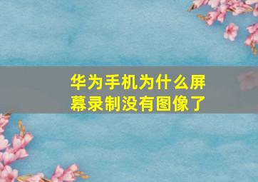 华为手机为什么屏幕录制没有图像了