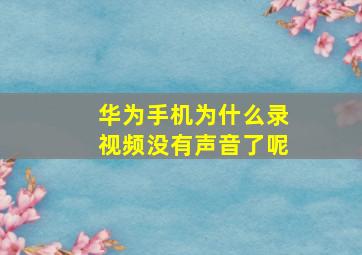 华为手机为什么录视频没有声音了呢