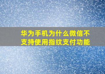 华为手机为什么微信不支持使用指纹支付功能