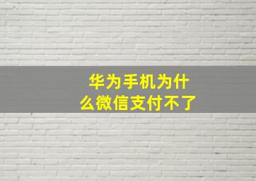 华为手机为什么微信支付不了