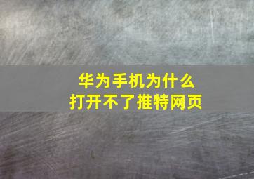 华为手机为什么打开不了推特网页