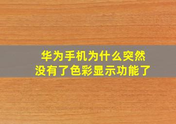 华为手机为什么突然没有了色彩显示功能了