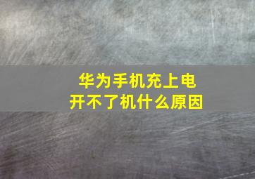 华为手机充上电开不了机什么原因