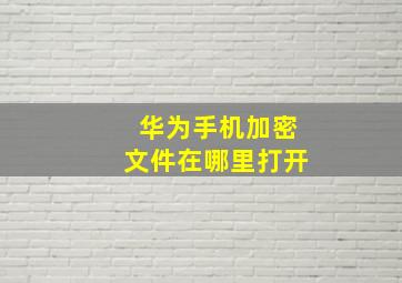 华为手机加密文件在哪里打开