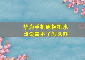 华为手机原相机水印设置不了怎么办