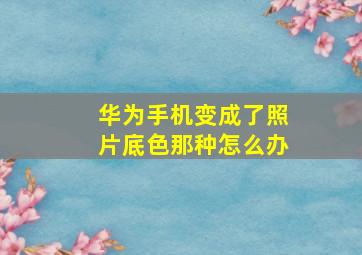 华为手机变成了照片底色那种怎么办