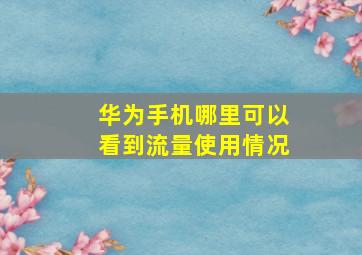 华为手机哪里可以看到流量使用情况