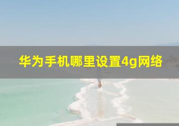 华为手机哪里设置4g网络