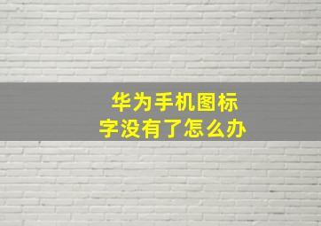 华为手机图标字没有了怎么办