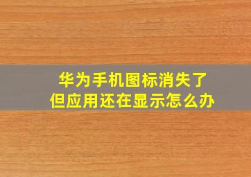 华为手机图标消失了但应用还在显示怎么办