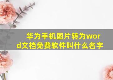 华为手机图片转为word文档免费软件叫什么名字