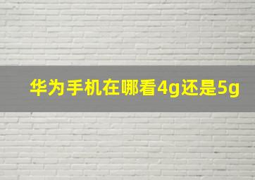 华为手机在哪看4g还是5g