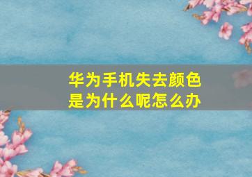 华为手机失去颜色是为什么呢怎么办