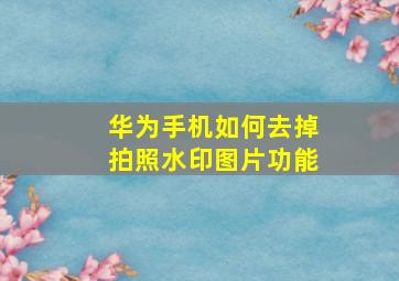 华为手机如何去掉拍照水印图片功能