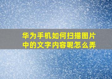 华为手机如何扫描图片中的文字内容呢怎么弄