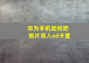 华为手机如何把照片导入sd卡里