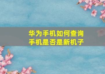 华为手机如何查询手机是否是新机子