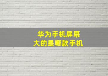 华为手机屏幕大的是哪款手机