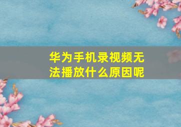 华为手机录视频无法播放什么原因呢