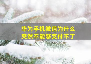 华为手机微信为什么突然不能够支付不了