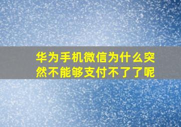 华为手机微信为什么突然不能够支付不了了呢