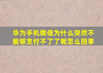 华为手机微信为什么突然不能够支付不了了呢怎么回事