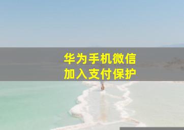 华为手机微信加入支付保护