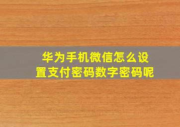 华为手机微信怎么设置支付密码数字密码呢