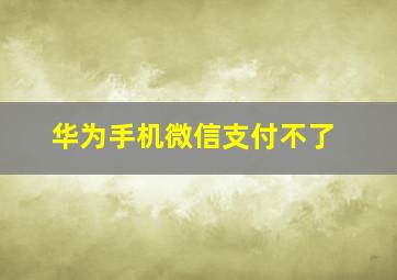 华为手机微信支付不了