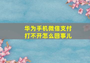 华为手机微信支付打不开怎么回事儿