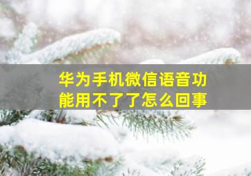 华为手机微信语音功能用不了了怎么回事