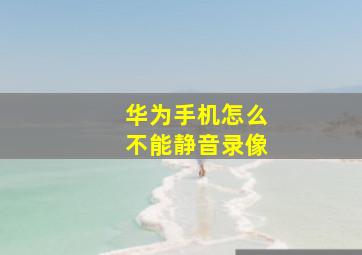 华为手机怎么不能静音录像