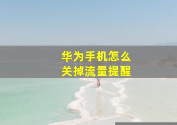 华为手机怎么关掉流量提醒